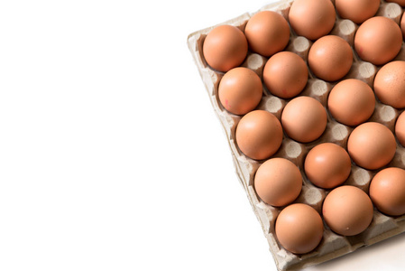 鸡肉蛋, 包装, 鸡蛋放在白色的背景, 鸡蛋包外