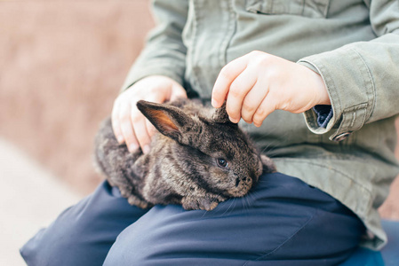 孩子手里拿着一只深灰色的兔子。