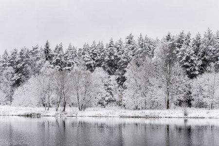 在森林里的白色冬季景观湖