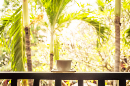 白色咖啡杯子在室外庭院附近