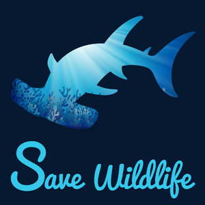 用 whaleshark 保存野生动物海报