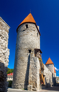 城墙和塔在塔林爱沙尼亚