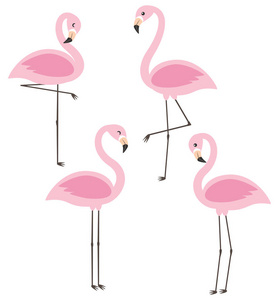 矢量集与四可爱的卡通粉红色火烈鸟