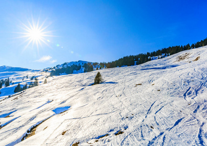 在阿尔卑斯山冬季风景图片