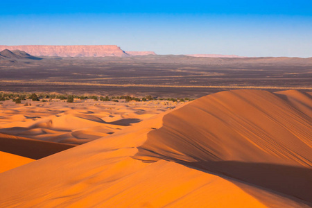在 Erg 附近梅尔祖加在摩洛哥沙漠沙丘