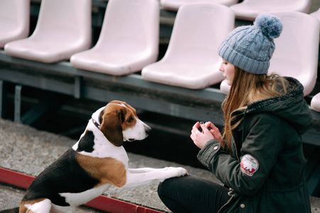 年轻的时髦女孩与她的宠物爱沙尼亚猎犬狗玩，俊平和拥抱和室外在玩老体育场