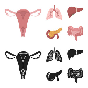 子宫, 肺, 肝脏, 胰腺。器官集合图标在卡通, 黑色风格矢量符号股票插画网站