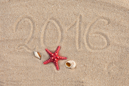 海星 贝壳在沙滩上的照片日历。封面
