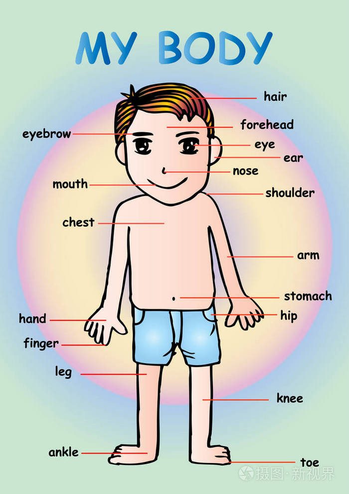 我的身体,为教育信息图形图表孩子显示一个可爱的卡通男孩人体部位