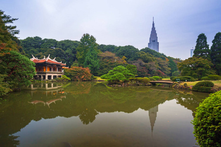 秋天在新宿公园，日本，东京