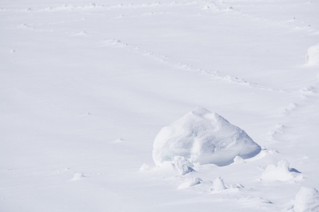 冬天的雪，一丛丛