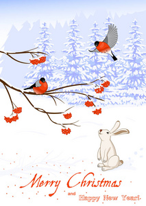圣诞节和新年贺卡与红腹灰雀小鸟罗文树枝和白兔子收集在冬季森林浆果。矢量图