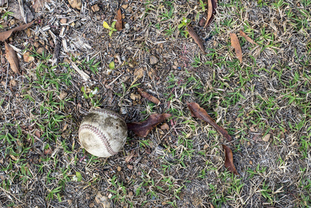 在新鲜的绿色草地上使用棒球与复制空间