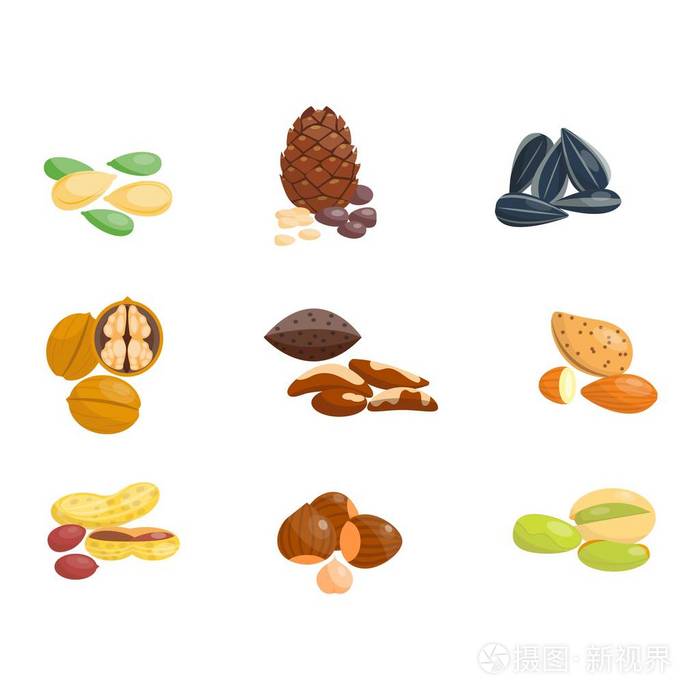 不同的坚果矢量集插画-正版商用图片0gh7u9-摄图新视界