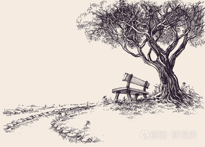 公园的素描.板凳在树下