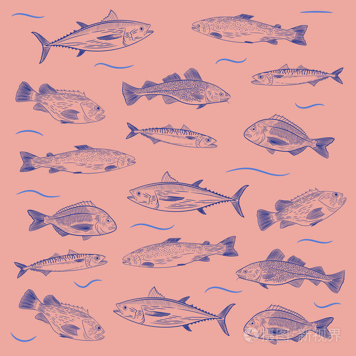金枪鱼, 鲑鱼, 鳕鱼, 鲈鱼, 鲭鱼, 金竿.素描和手绘, 矢量插图