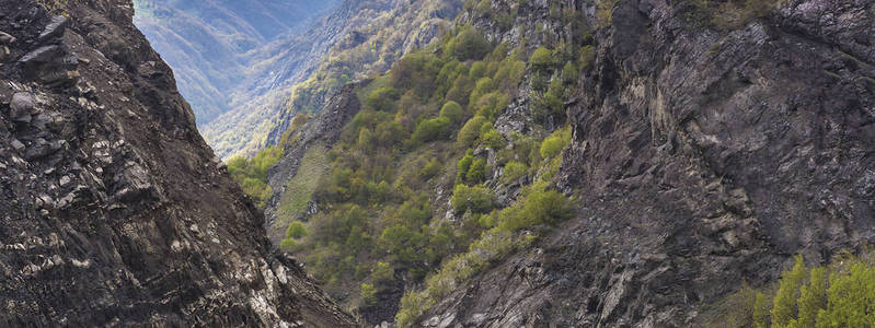 春山峡谷