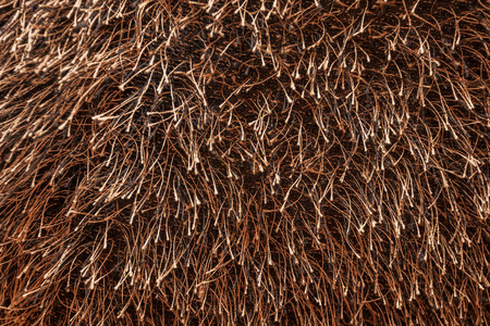 棕色人造羊毛螺纹的许多纠结的末端特写