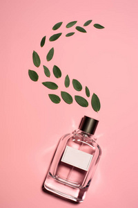 粉红色表面组成的绿叶香水瓶的顶部视图