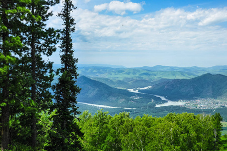 森林反对空中山风景。阿尔泰, 西伯利亚, 俄罗斯