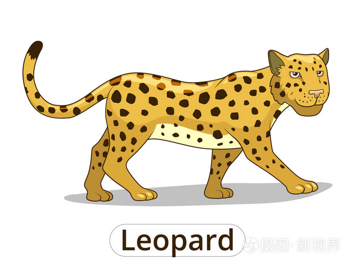 豹非洲大草原动物卡通矢量