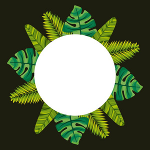 热带叶子棕榈龟背竹框架装饰