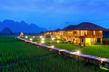 老挝旺万荣夜间木道和绿稻田