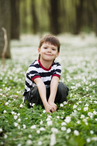 小男孩在森林里的花场