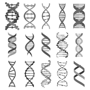 Dna 分子标志集 遗传因素和图标集合钢绞线。矢量