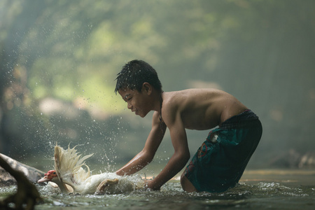 男孩与鸭