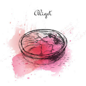 Aligot 水彩效果图