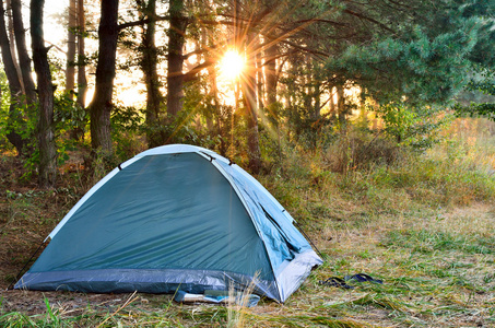 旅游帐篷，黎明在树林里的背景