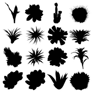 黑色剪影仙人掌设置。手工绘制的植物。异国情调的花卉