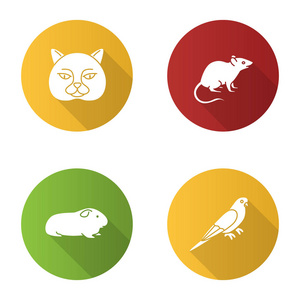 宠物平面设计长阴影字形图标设置。英国猫, 老鼠, 豚鼠, 鹦鹉。矢量剪影插图