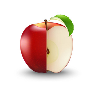 矢量逼真的红苹果与种子和叶子切。切片享有