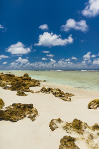 天堂的礁石环礁，法属波利尼西亚的视图