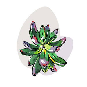 手绘矢量抽象墨水图形画笔纹理素描画开花肉质的芦荟花, 绿色的颜色在白色背景下分离。婚礼, 生日和保存日期设计元素