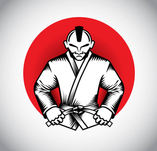 Bjj 战斗机矢量设计