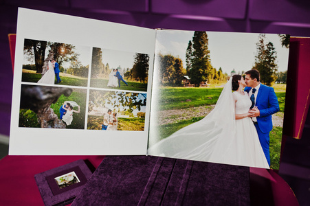紫罗兰色天鹅绒画册和专辑图片