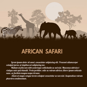 非洲野生动物园海报图片