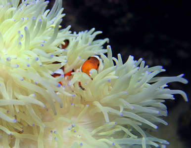 十堰水族馆大年初九打卡记录