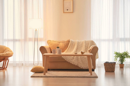 客厅内饰, 舒适的沙发和典雅的灯