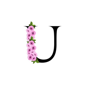 字母 U 花卉装饰品