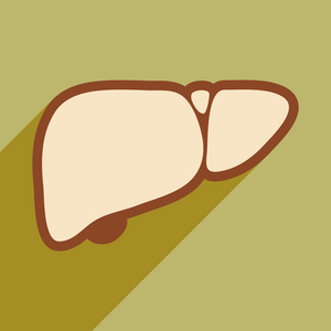 人类肝脏中平面样式的图标