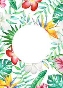 带水彩手的卡片模板绘制热带花卉和植物在白色背景上, 空白为文本