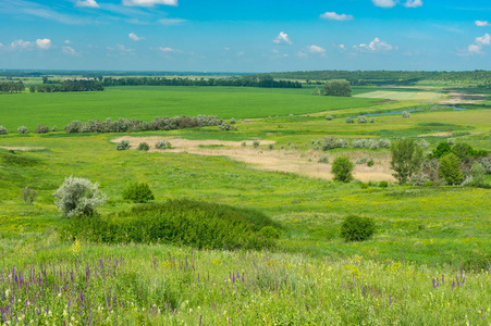 乌克兰中部 Oril 河附近的农田和水草甸的夏季景观