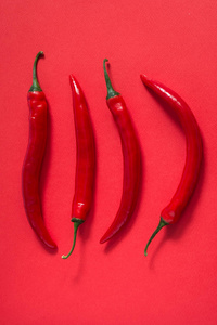红辣椒辣椒在最小的红色背景。设计概念照片