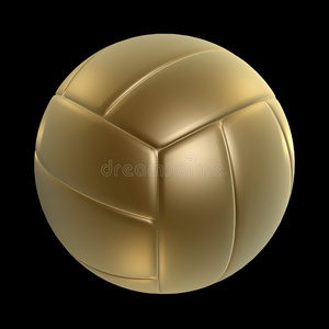 金排球