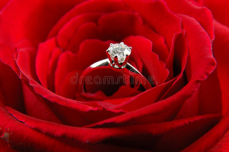 红玫瑰订婚戒指图片
