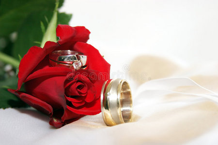 玫瑰花结婚戒指图片